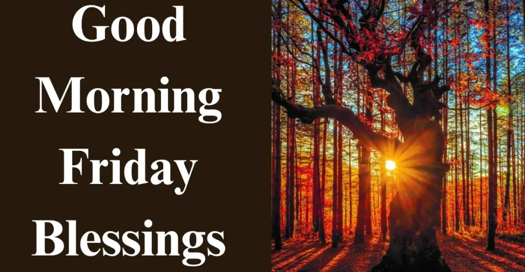 Good Morning Friday Blessings