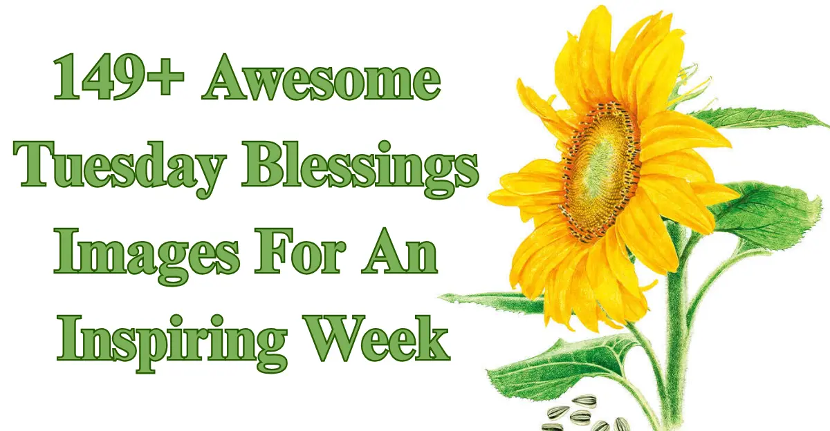 149+ Awesome Tuesday Blessings Images [Hope, Faith, Joy]