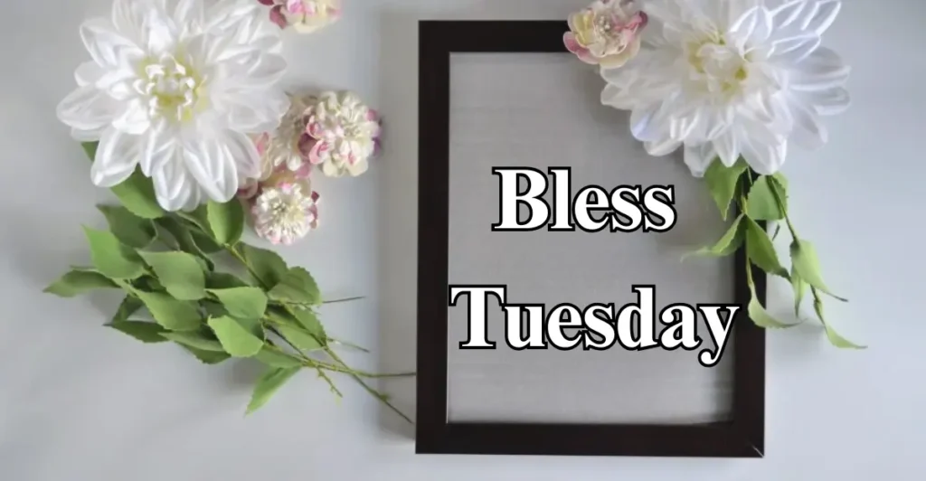 Bless Tuesday