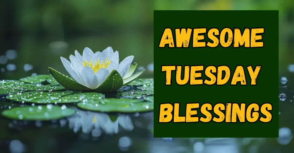 149+ Awesome Tuesday Blessings Images For An Inspiring Week