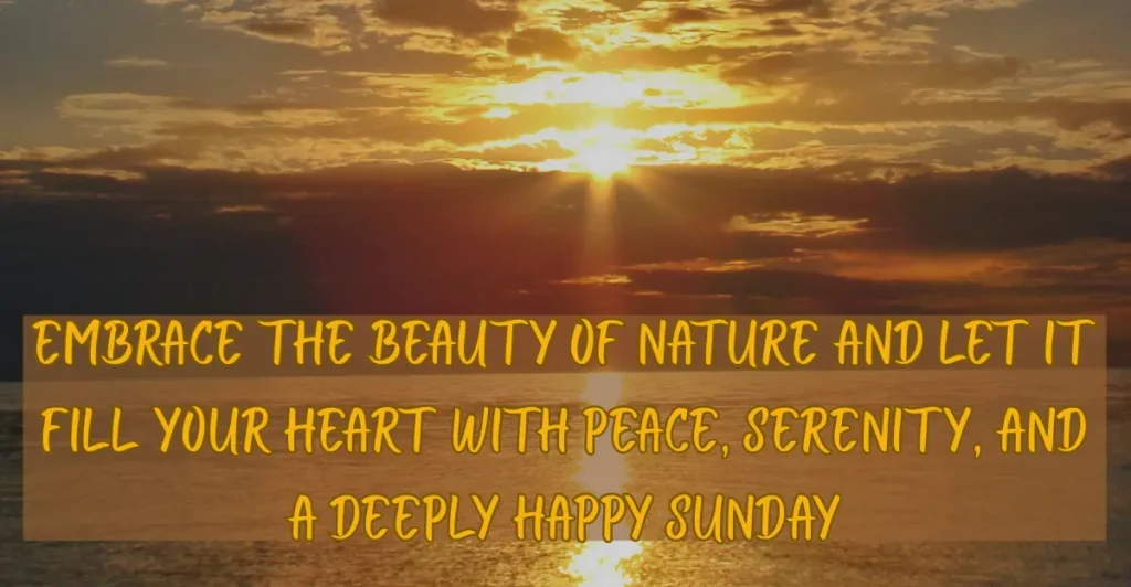120+ Sweet Good Morning Sunday Blessings Images And Quotes for a Week