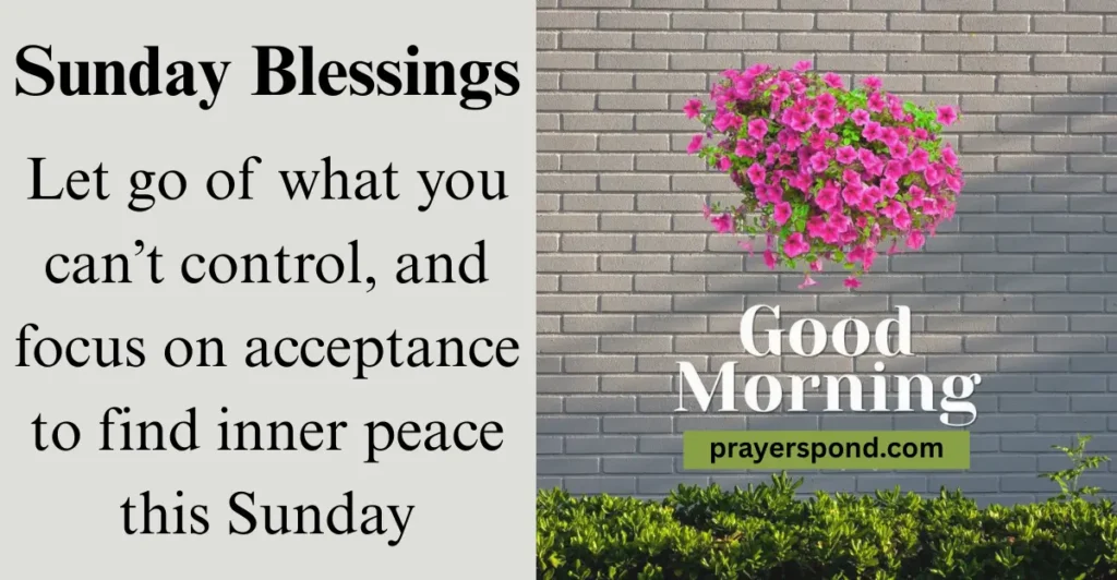 Sunday Blessings