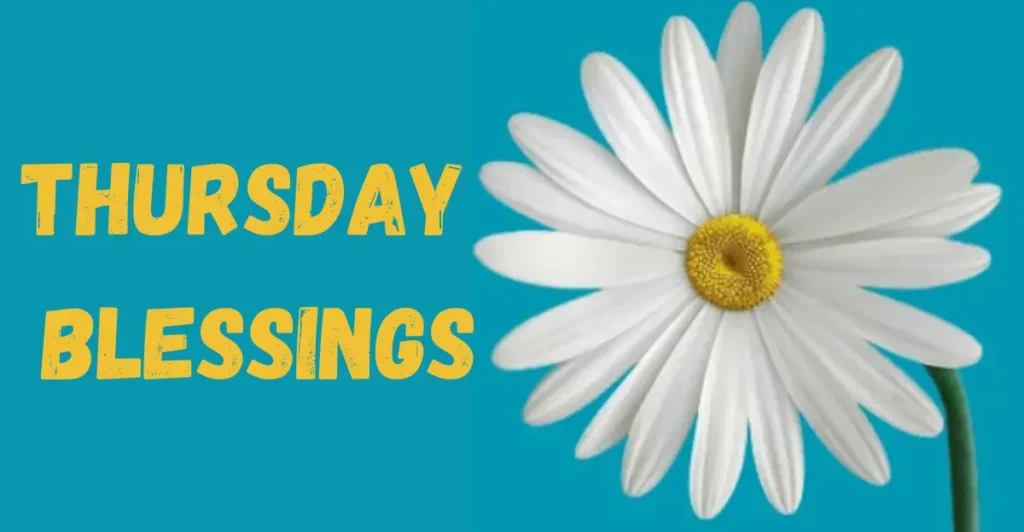 Thursday Blessings