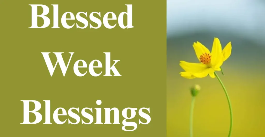 Blessed Week Blessings