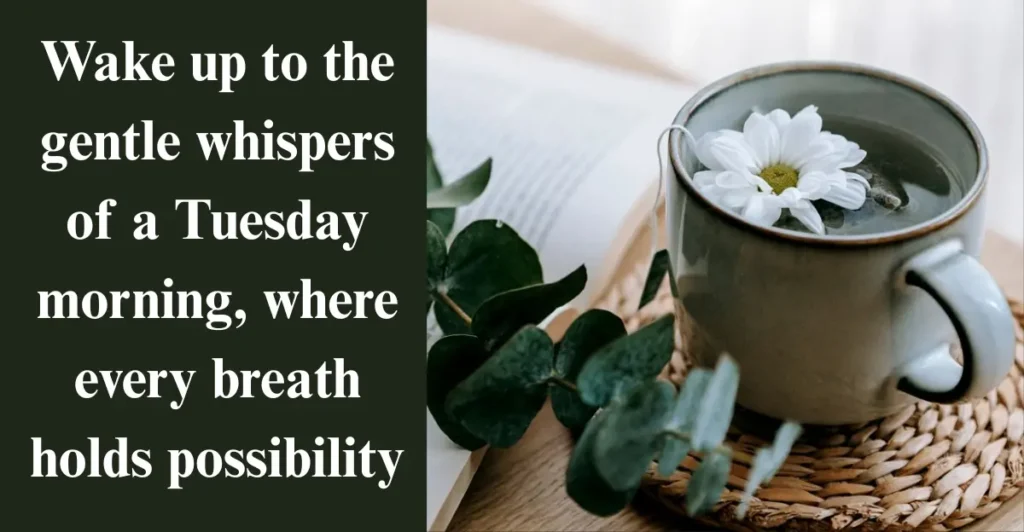 69+ Positive Good Morning Tuesday Blessings for a Magic Day