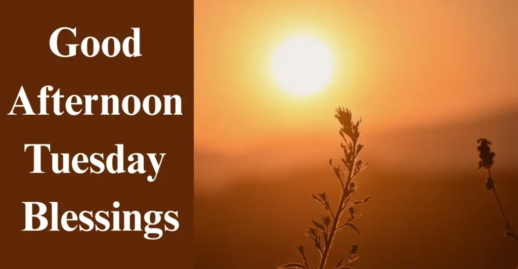 Good Afternoon Tuesday Blessings