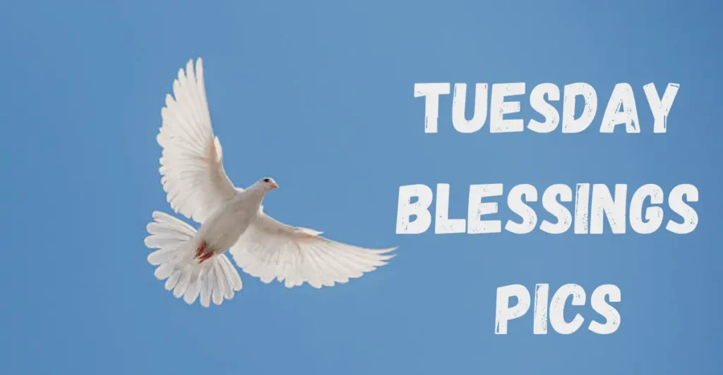 Tuesday Blessings Pics