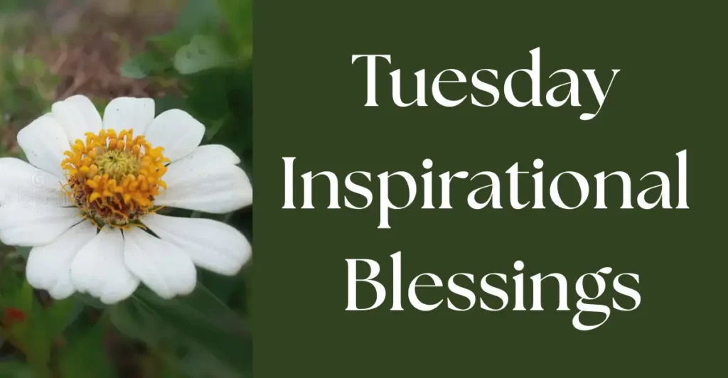 Tuesday Inspirational Blessings