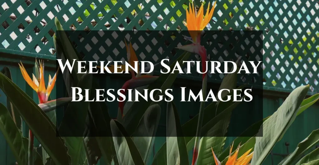 Weekend Saturday Blessings Images