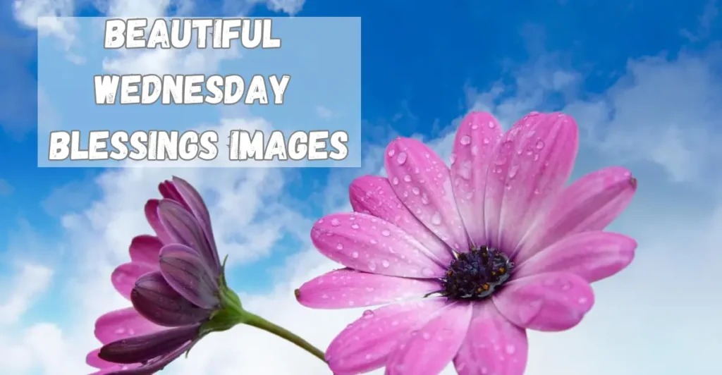 Beautiful Wednesday Blessings Images
