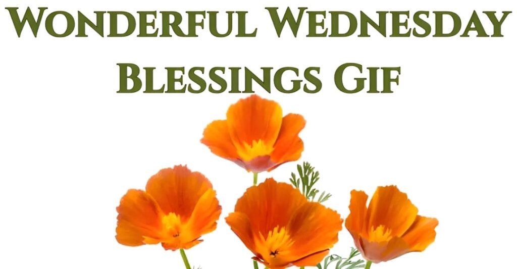 Wonderful Wednesday Blessings Gif