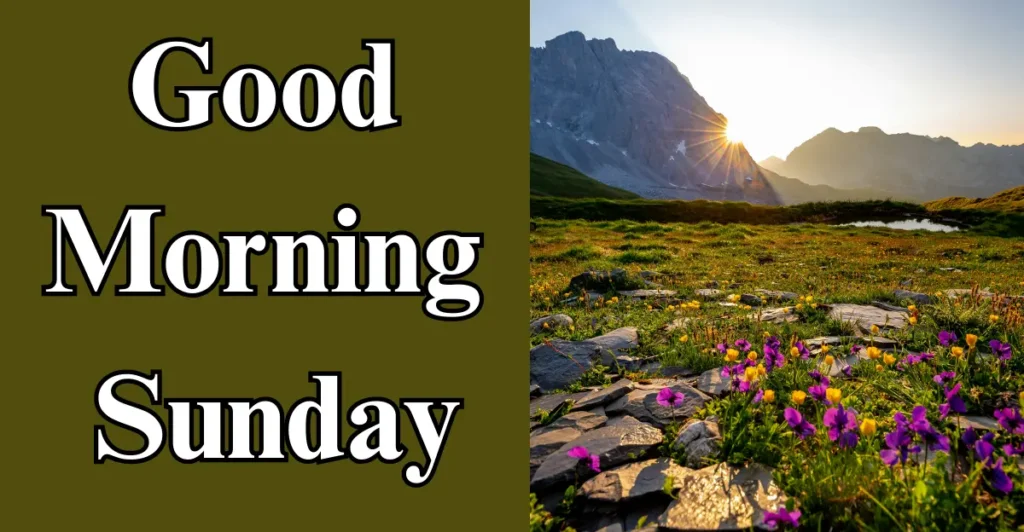 50+ Good morning Sunday Blessings To Start Your Day Right