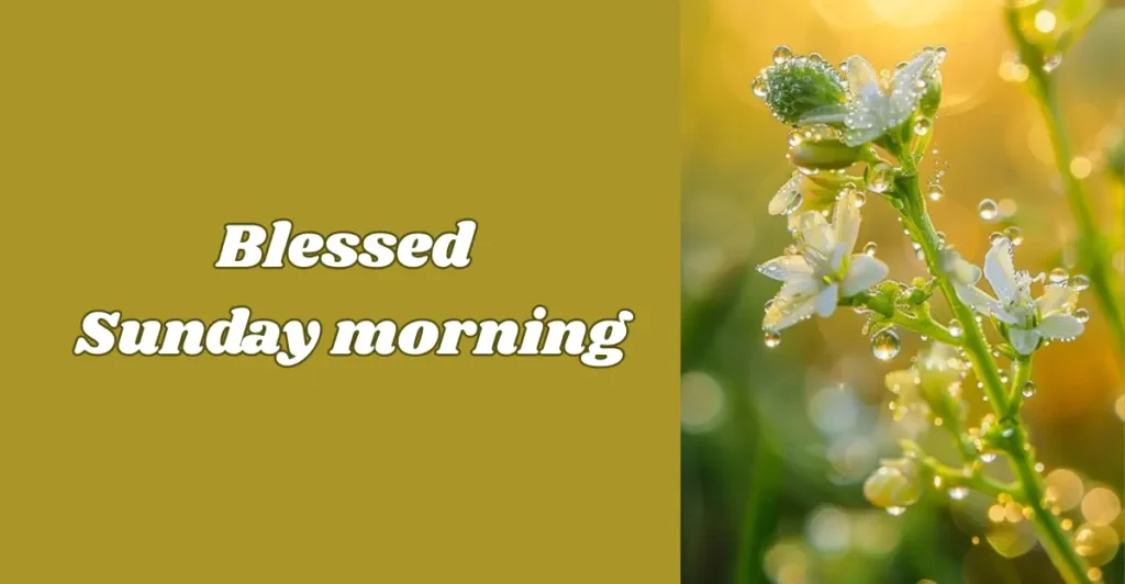 Blessed Sunday morning