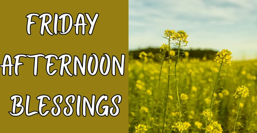 Friday Afternoon Blessings
