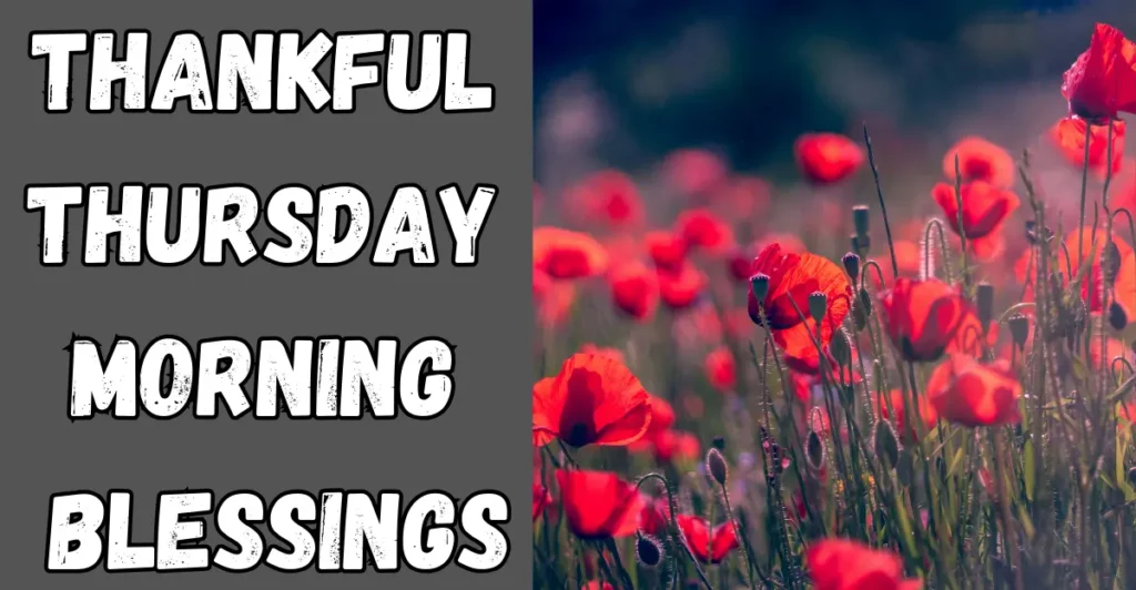 Thankful Thursday morning blessings