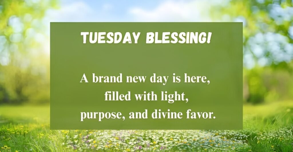 120+ Tuesday Blessings for a Wonderful Day – Cute Images