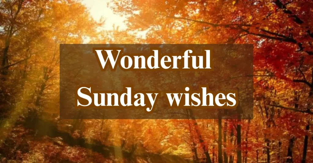 Wonderful Sunday wishes