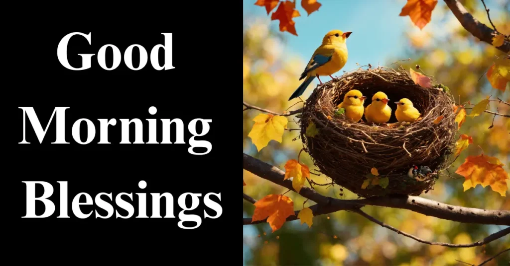 100+ Good Morning Blessings, Images, and Quotes to Inspire You