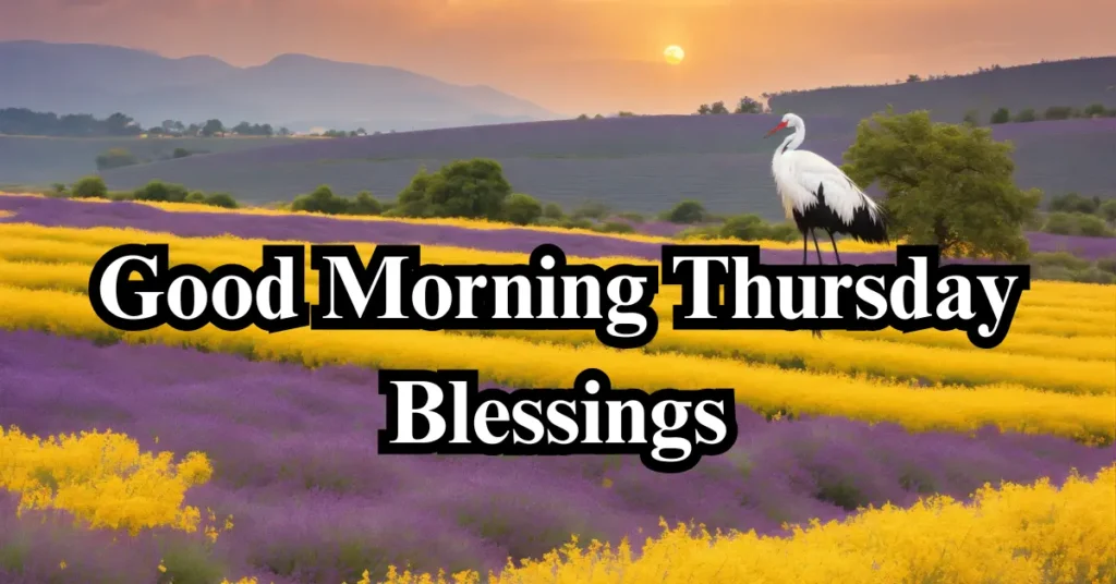 Good Morning Thursday Blessings