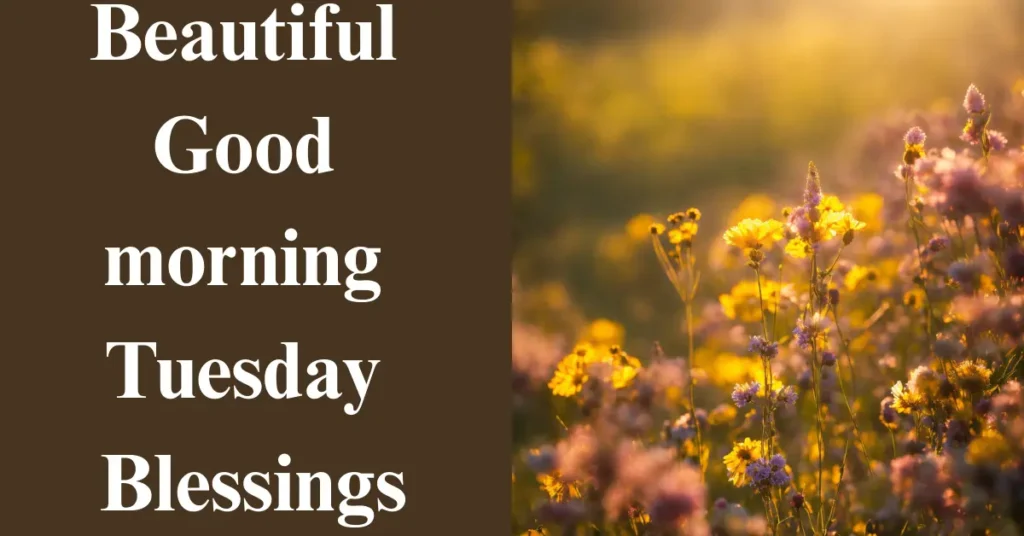 Beautiful Good morning Tuesday Blessings