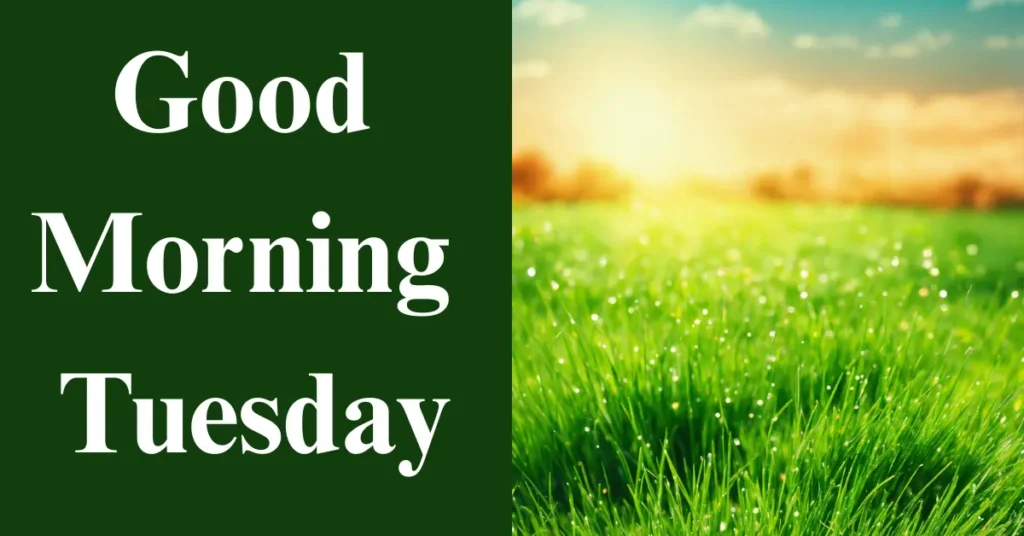 65+ Good Morning Tuesday Blessings to Make Your Day Shine