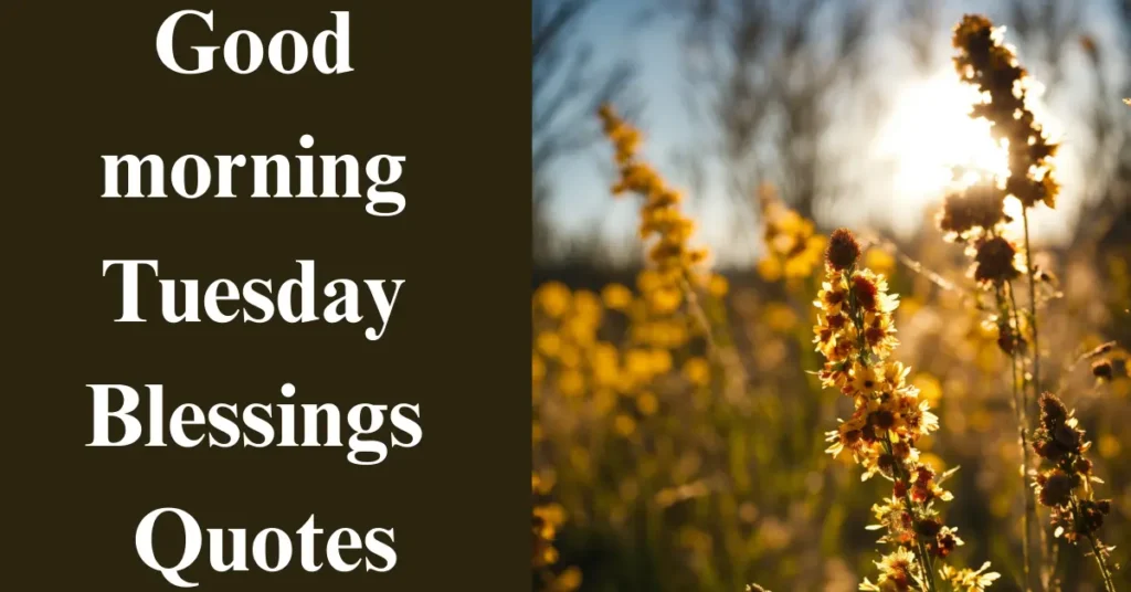 Good morning Tuesday Blessings Quotes