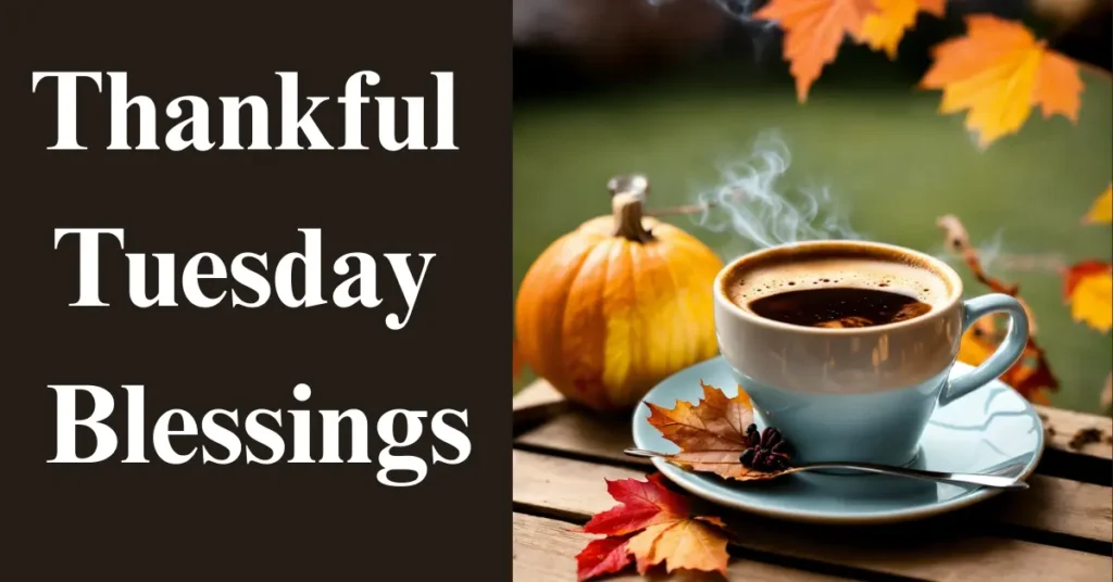 Thankful Tuesday Blessings