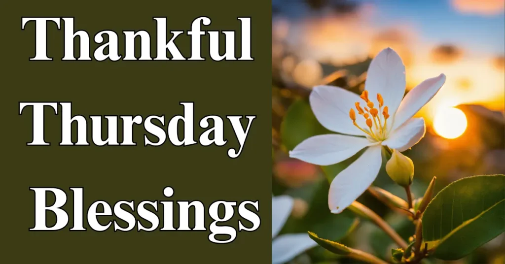 Thankful Thursday Blessings