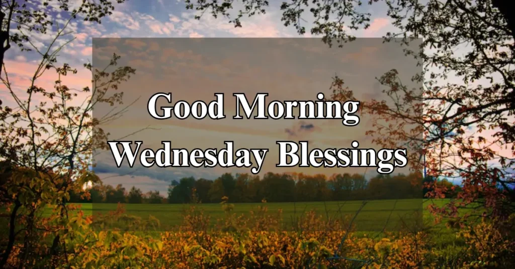 80 Happy Good Morning Wednesday Blessings and Prayers